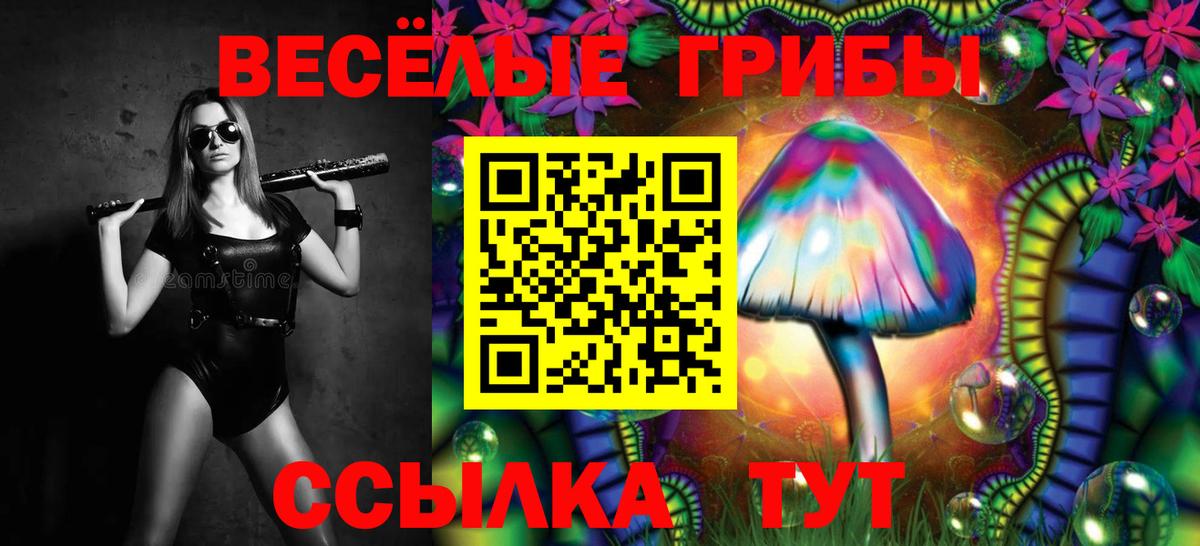 Галлюциногенные грибы мухоморы  Галлюциногенные грибы GOLDEN TEACHER  Новороссийск  Вход с VPN 